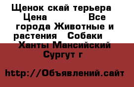 Щенок скай терьера › Цена ­ 20 000 - Все города Животные и растения » Собаки   . Ханты-Мансийский,Сургут г.